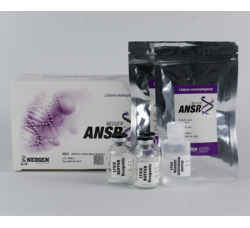 ANSR for Listeria monocytogenes